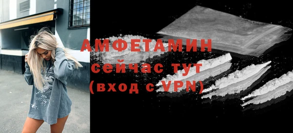 индика Белокуриха