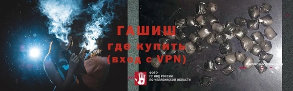 индика Белокуриха