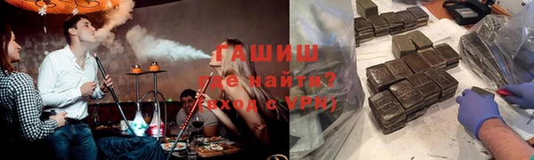 индика Белокуриха