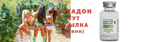 индика Белокуриха