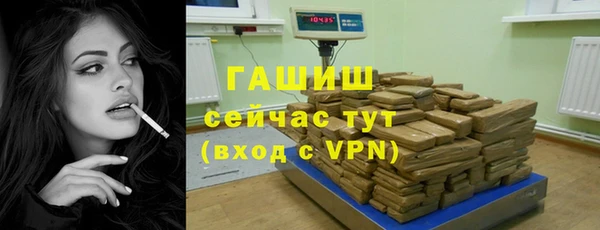индика Белокуриха