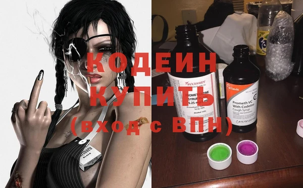 индика Белокуриха