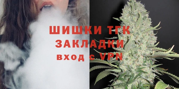 индика Белокуриха
