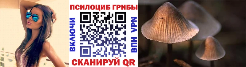 Псилоцибиновые грибы Psilocybe  купить наркоту  Оха 